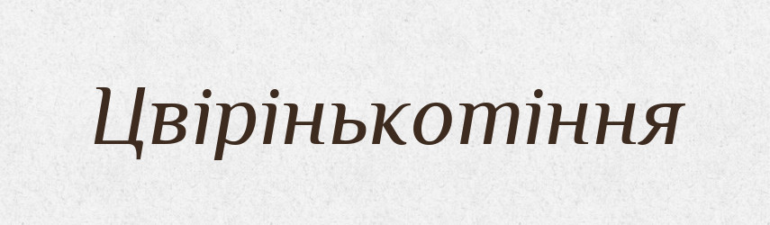 Цвірінькотіння — Великий тлумачний словник сучасної української мови