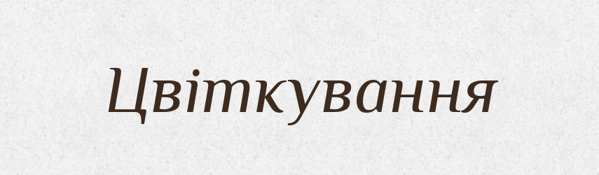 Цвіткування — Великий тлумачний словник сучасної української мови