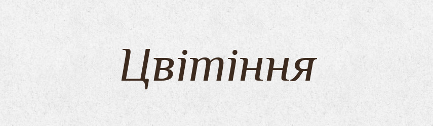 Цвітіння — Великий тлумачний словник сучасної української мови