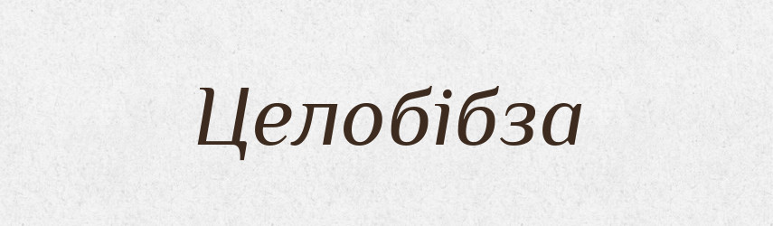Целобібза — Великий тлумачний словник сучасної української мови