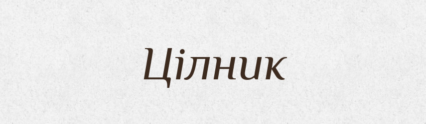 Цілник — Великий тлумачний словник сучасної української мови
