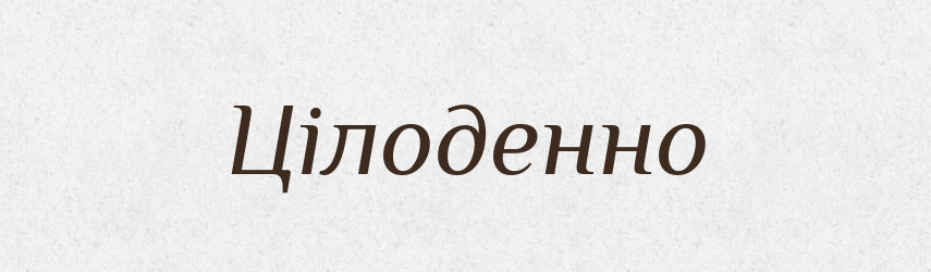 Цілоденно — Великий тлумачний словник сучасної української мови