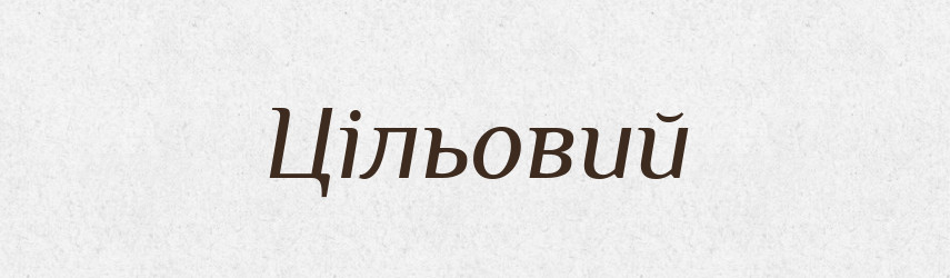 Цільовий — Великий тлумачний словник сучасної української мови