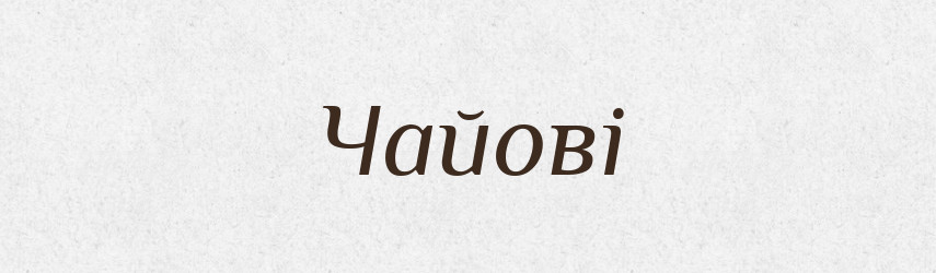 Чайові — Великий тлумачний словник сучасної української мови