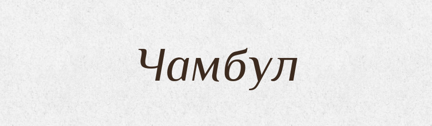 Чамбул — Великий тлумачний словник сучасної української мови
