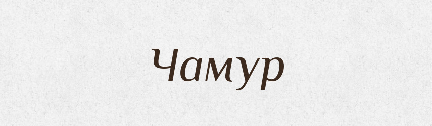 Чамур — Великий тлумачний словник сучасної української мови