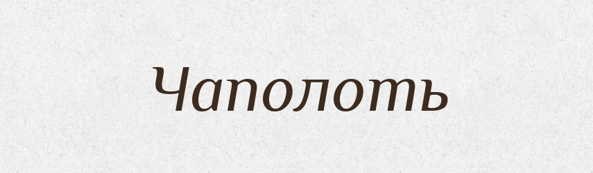 Чаполоть — Великий тлумачний словник сучасної української мови