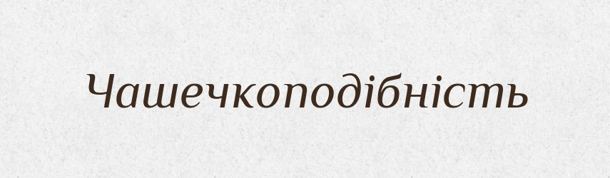 Чашечкоподібність — Великий тлумачний словник сучасної української мови