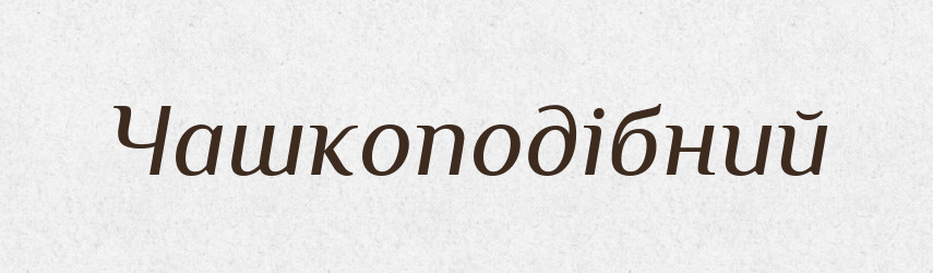 Чашкоподібний — Великий тлумачний словник сучасної української мови