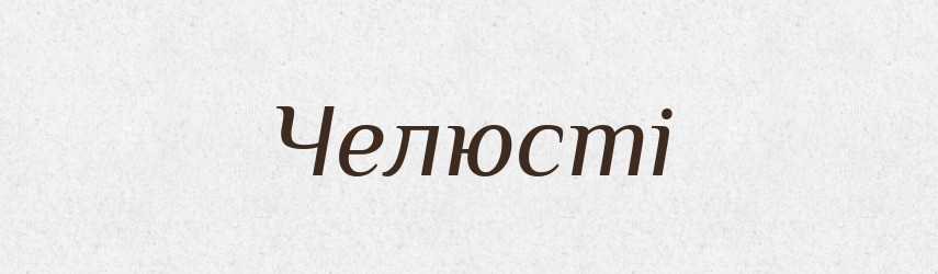 Челюсті — Великий тлумачний словник сучасної української мови