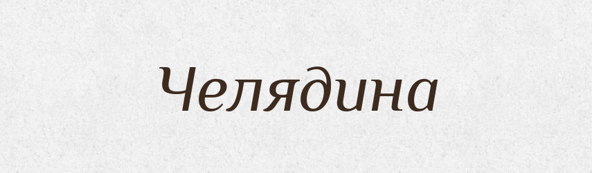 Челядина — Великий тлумачний словник сучасної української мови
