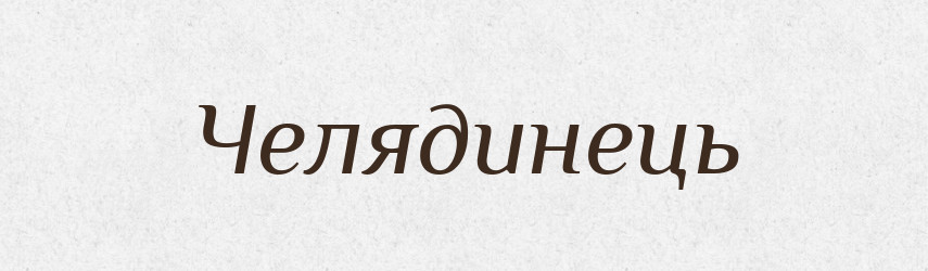 Челядинець — Великий тлумачний словник сучасної української мови