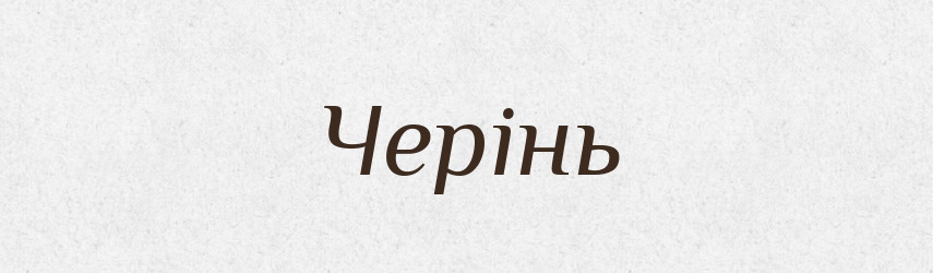 Черінь — Великий тлумачний словник сучасної української мови