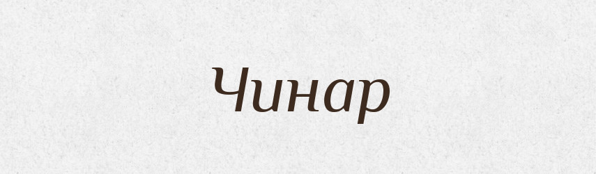 Чинар — Великий тлумачний словник сучасної української мови