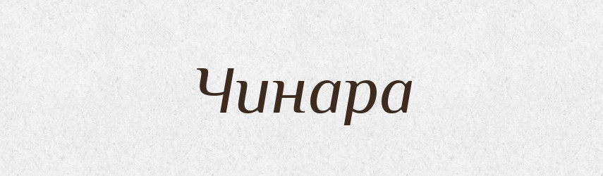 Чинара — Великий тлумачний словник сучасної української мови