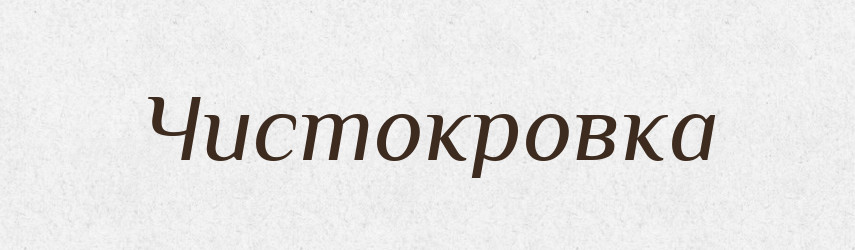 Чистокровка — Великий тлумачний словник сучасної української мови