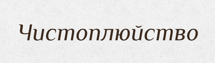 Чистоплюйство — Великий тлумачний словник сучасної української мови