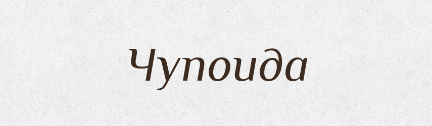 Чупоида — Великий тлумачний словник сучасної української мови