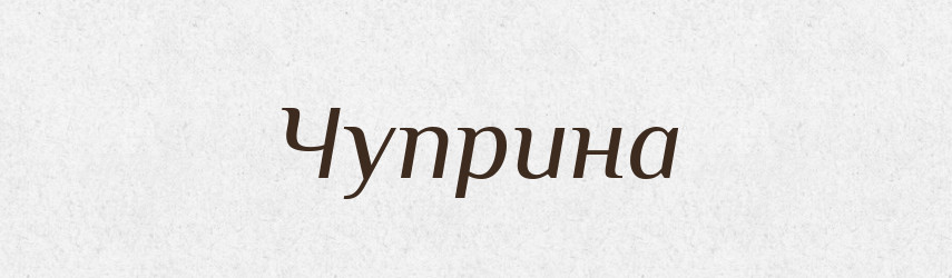 Чуприна — Великий тлумачний словник сучасної української мови