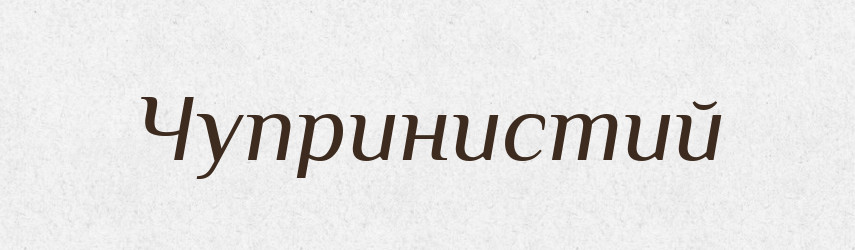 Чупринистий — Великий тлумачний словник сучасної української мови