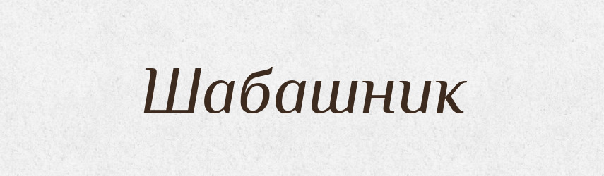 Шабашник — Великий тлумачний словник сучасної української мови