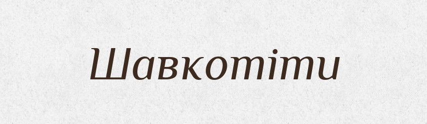 Шавкотіти — Великий тлумачний словник сучасної української мови