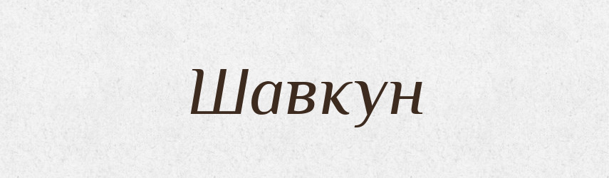 Шавкун — Великий тлумачний словник сучасної української мови