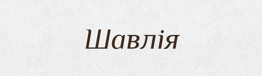 Шавлія — Великий тлумачний словник сучасної української мови
