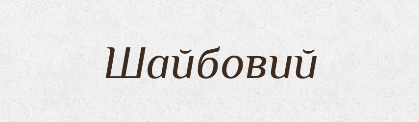Шайбовий — Великий тлумачний словник сучасної української мови