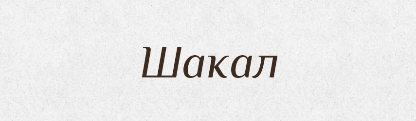 Шакал — Великий тлумачний словник сучасної української мови