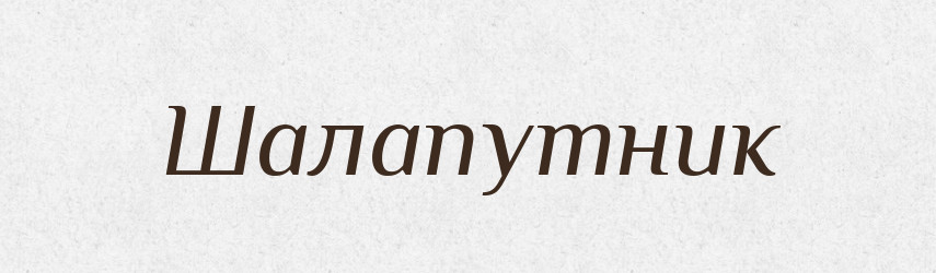 Шалапутник — Великий тлумачний словник сучасної української мови