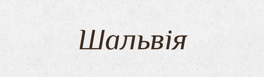 Шальвія — Великий тлумачний словник сучасної української мови