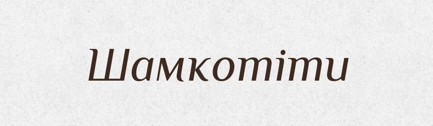 Шамкотіти — Великий тлумачний словник сучасної української мови