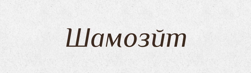 Шамозйт — Великий тлумачний словник сучасної української мови