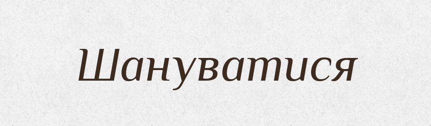 Шануватися — Великий тлумачний словник сучасної української мови
