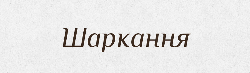 Шаркання — Великий тлумачний словник сучасної української мови