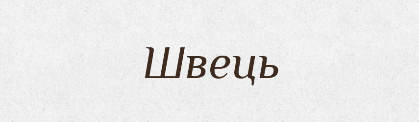 Швець — Великий тлумачний словник сучасної української мови