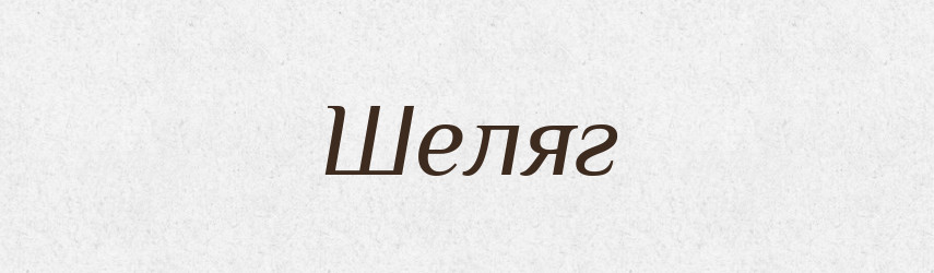 Шеляг — Великий тлумачний словник сучасної української мови