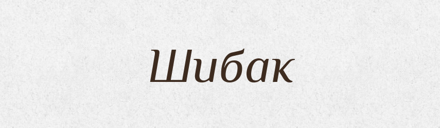 Шибак — Великий тлумачний словник сучасної української мови