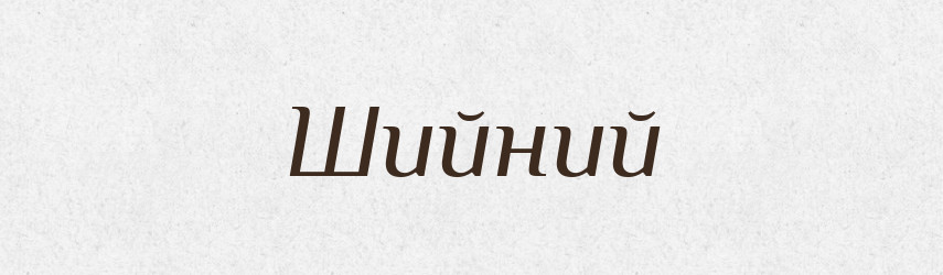 Шийний — Великий тлумачний словник сучасної української мови