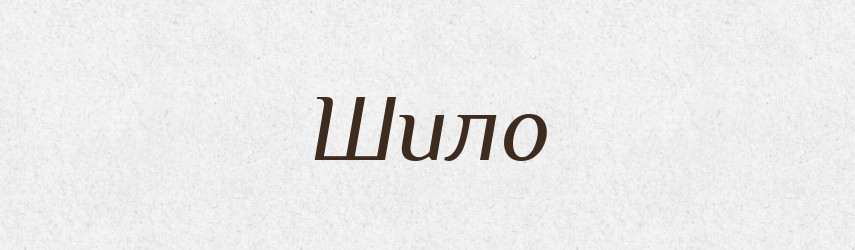 Шило — Великий тлумачний словник сучасної української мови
