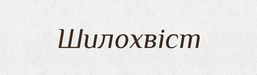 Шилохвіст — Великий тлумачний словник сучасної української мови