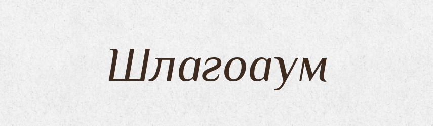 Шлагоаум — Великий тлумачний словник сучасної української мови