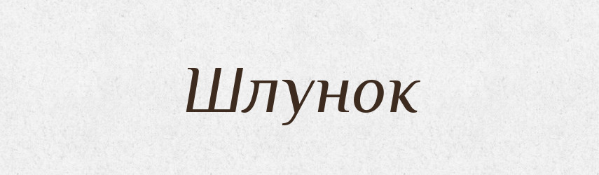 Шлунок — Великий тлумачний словник сучасної української мови