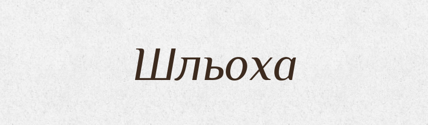 Шльоха — Великий тлумачний словник сучасної української мови