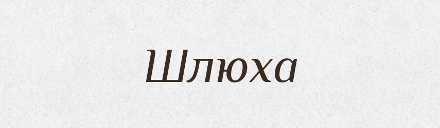 Шлюха — Великий тлумачний словник сучасної української мови