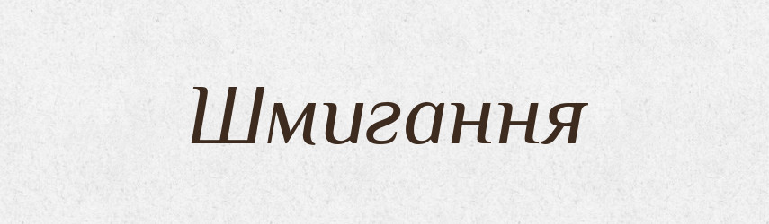 Шмигання — Великий тлумачний словник сучасної української мови
