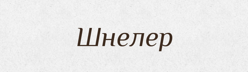 Шнелер — Великий тлумачний словник сучасної української мови