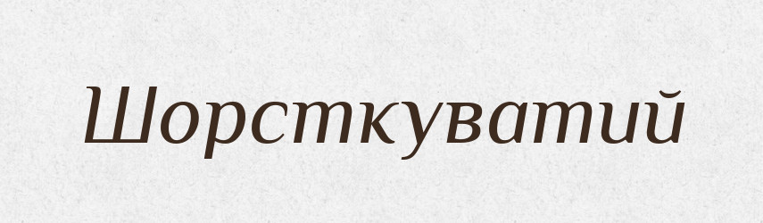 Шорсткуватий — Великий тлумачний словник сучасної української мови