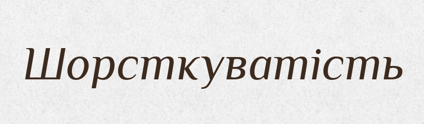 Шорсткуватість — Великий тлумачний словник сучасної української мови